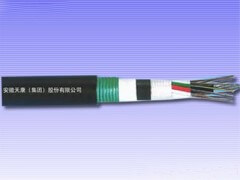 天康集團(tuán) 鋰電配件 2-144芯松套層絞式水下光纜