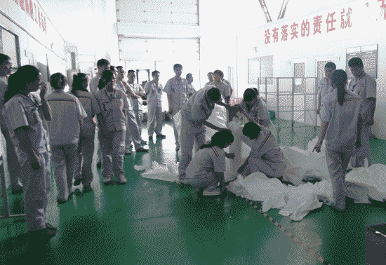 金力新能源