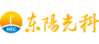 廣東東陽光科技控股股份有限公司