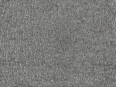 滄州明珠芳綸涂覆隔膜圖2